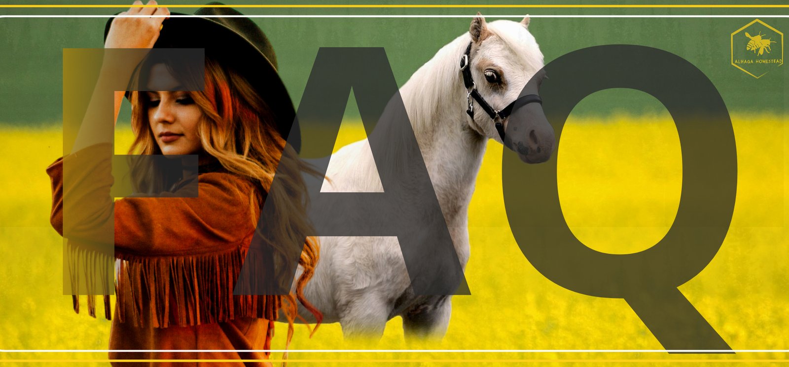 FAQ ALHAGA HOMESTEAD