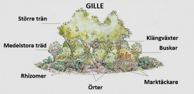Skog gille Alhaga homestead Skog gille Alhaga homestead