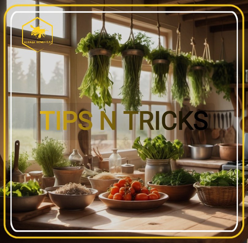 Tricks Alhaga homestead