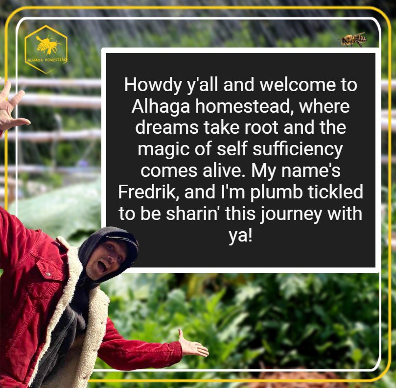 Welcome to Alhaga homestead