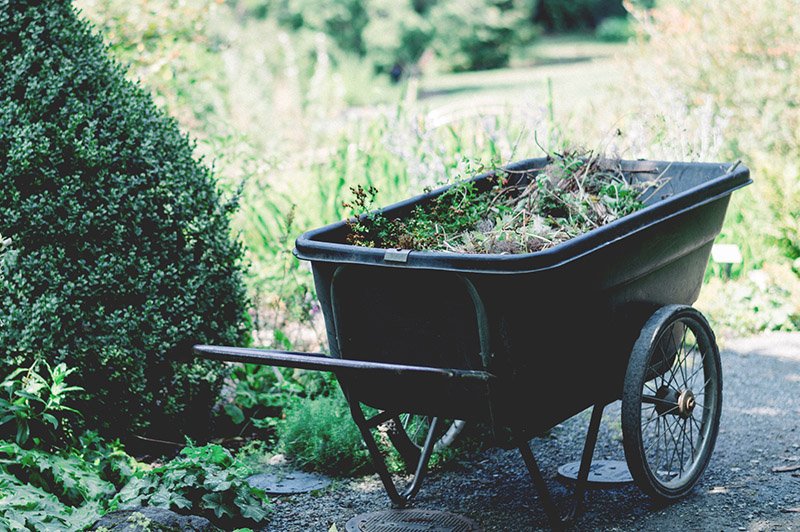 gardener Alhaga