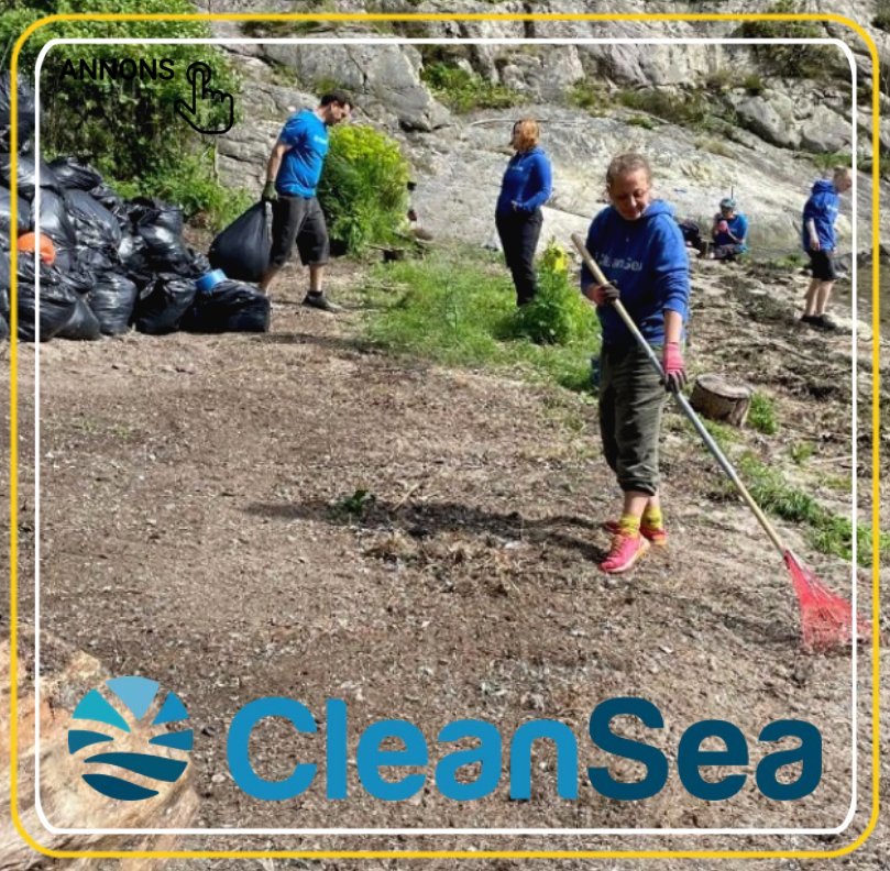 CLEAN SEA ALHAGA HOMESTEAD