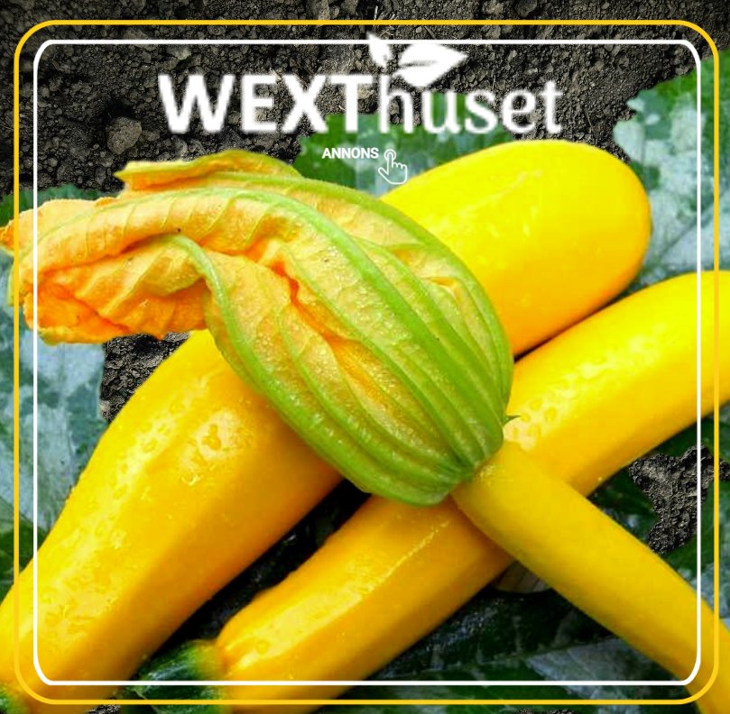 Wäxthuset Alhaga homestead