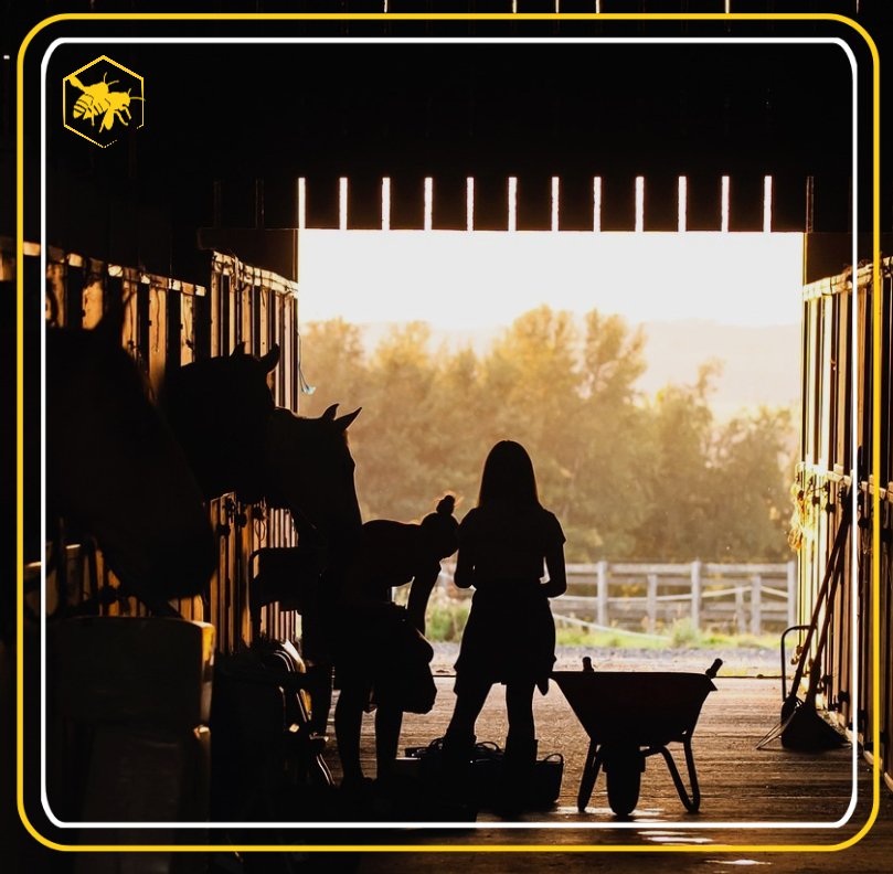 Alhaga homestead stable