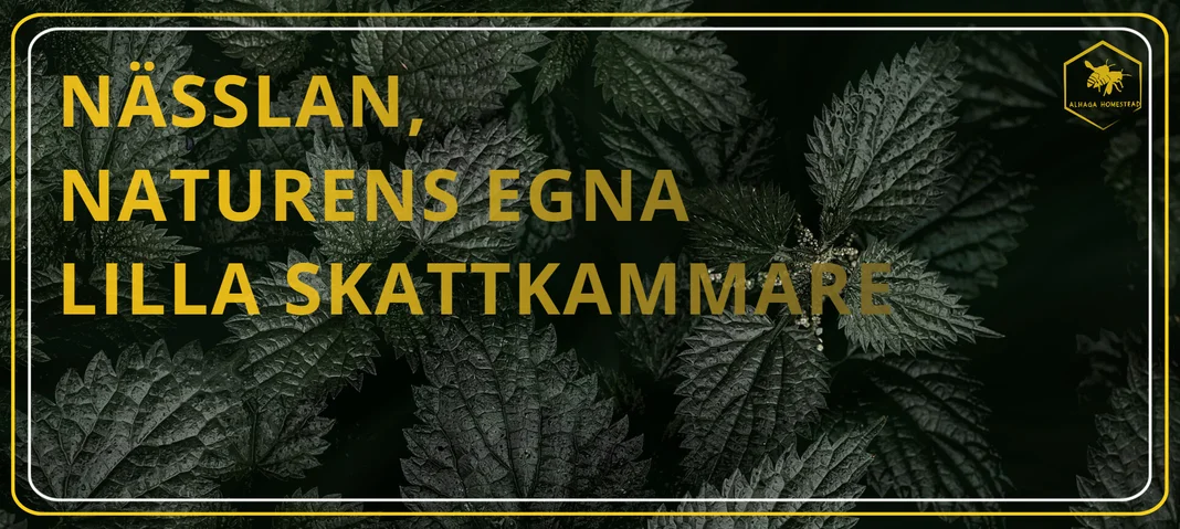 Nässlan Alhaga homestead