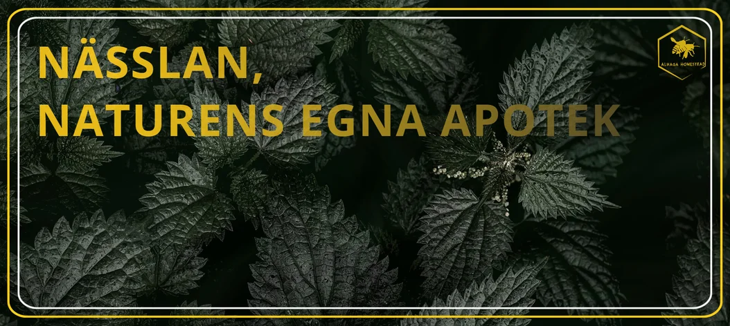 Nässlor Alhaga homestead