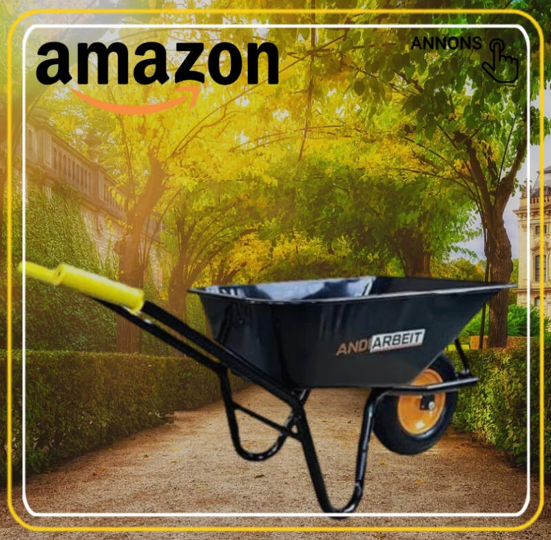 Skottkärra Ahaga homestead