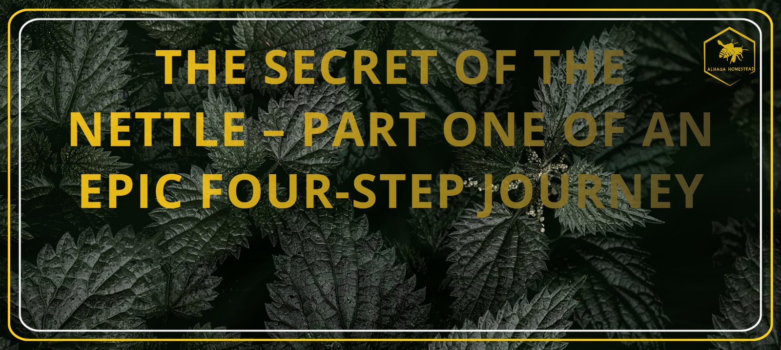 THE NETTLE – ALHAGA HOMESTEAD