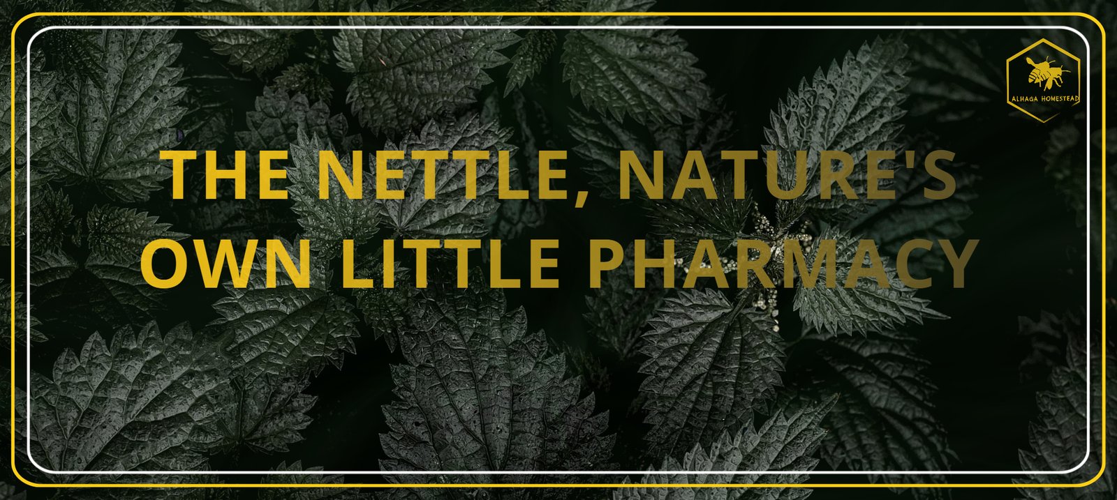 The nettle Alhaga homestead