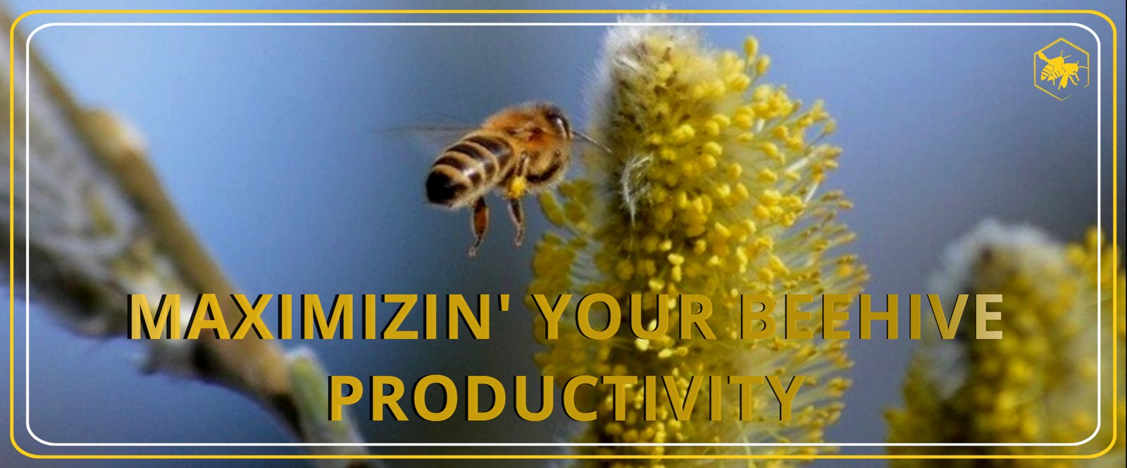 PRODUCTIVITY Alhaga homestead