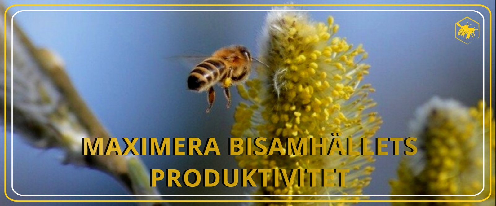 Svärmning Alhaga homestead