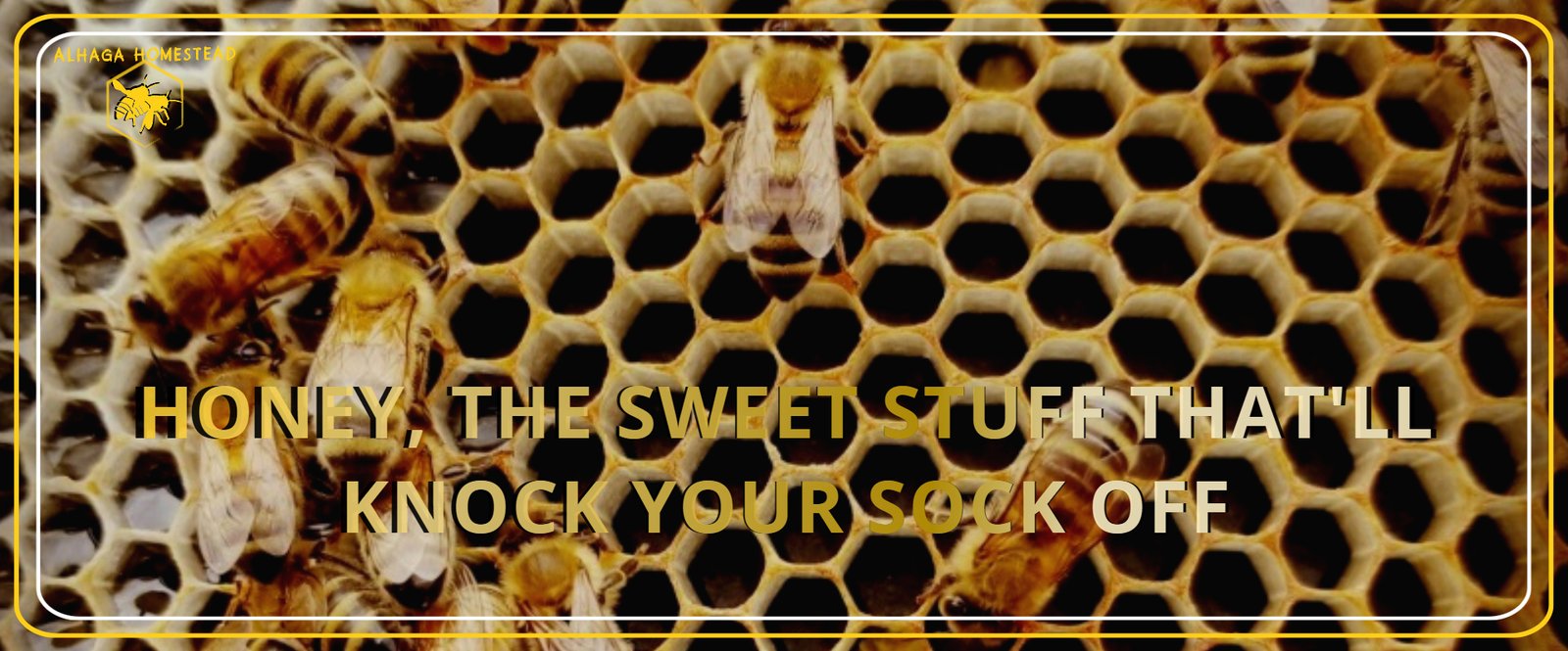 Sweet honey Alhaga homestead