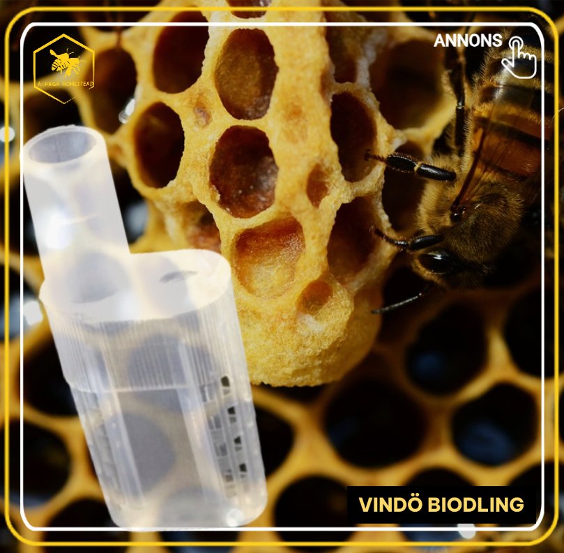 Vindö bidrottning bur Alhaga