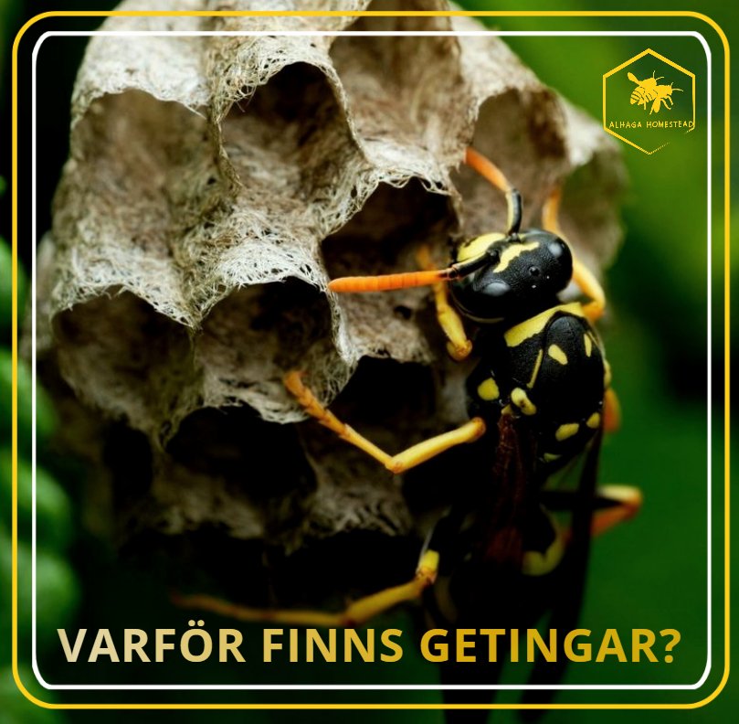 GETINGAR Alhaga homestead