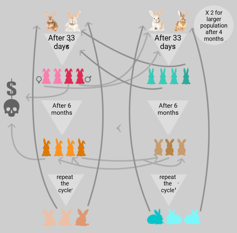 Strategic growth Alhaga homestead