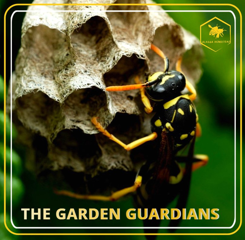 THE GARDEN GUARDIANS Alhaga