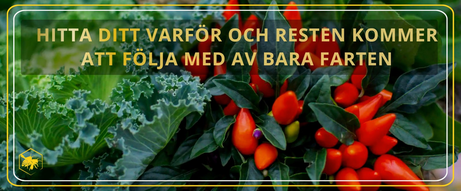 Ditt hur Alhaga homestead