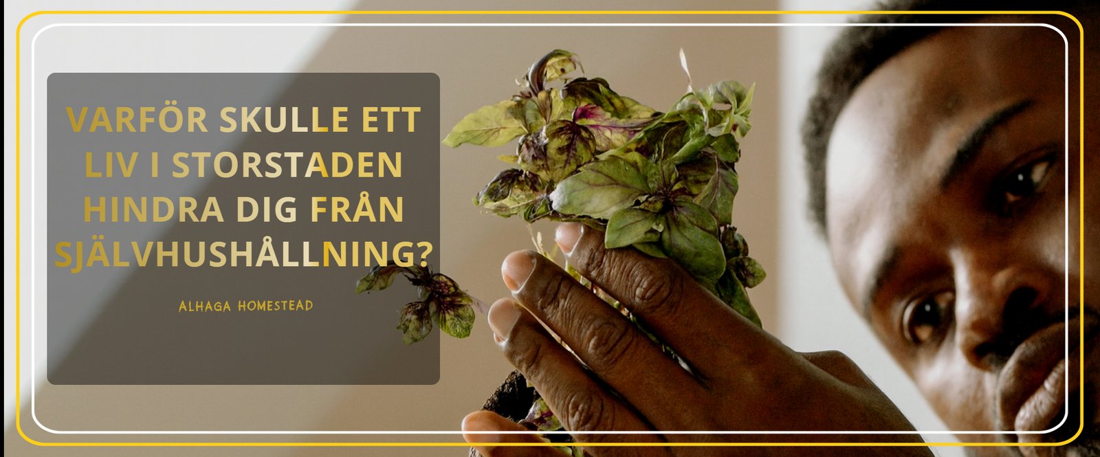 ETT LIV I STORSTADEN Alhaga homestead