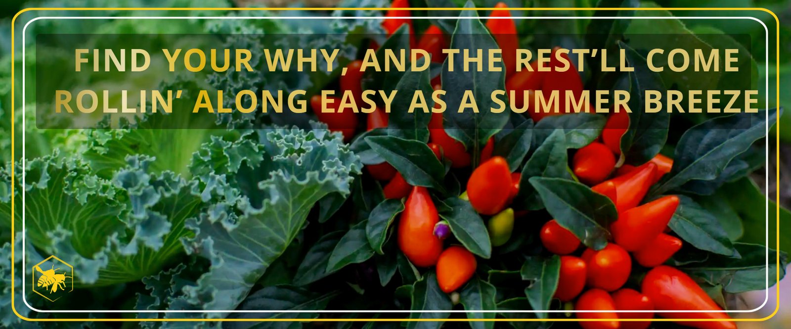 Find your why Alhaga homestead