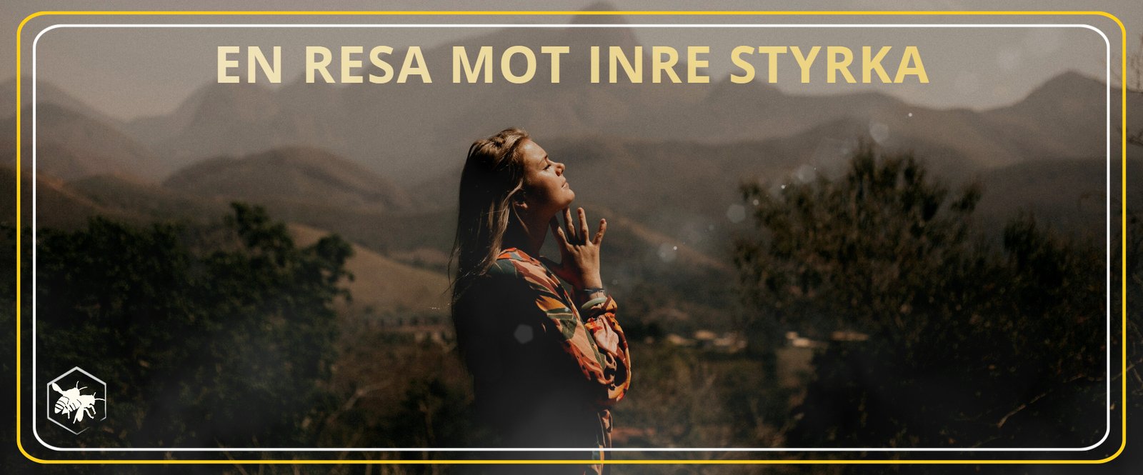 INRE STYRKA ALHAGA HOMESTEAD