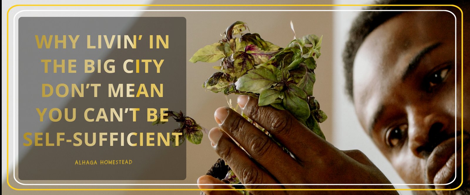 Livin’ in the big city Alhaga homestead