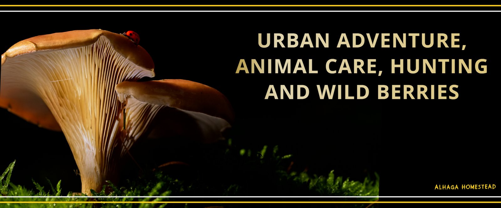 URBAN ADVENTURE - ALHAGA HOMESTEAD