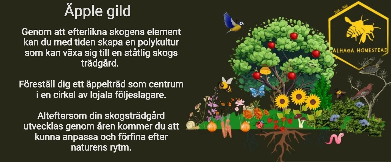Äpple gild - Alhaga homestead