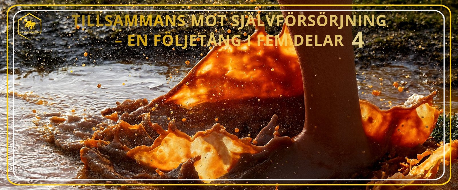 Barnens delaktighet -Alhaga homestead