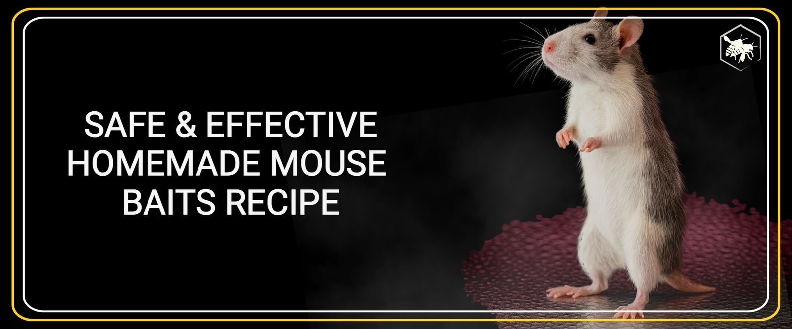 MOUSE BAITS RECIPE - ALHAGA