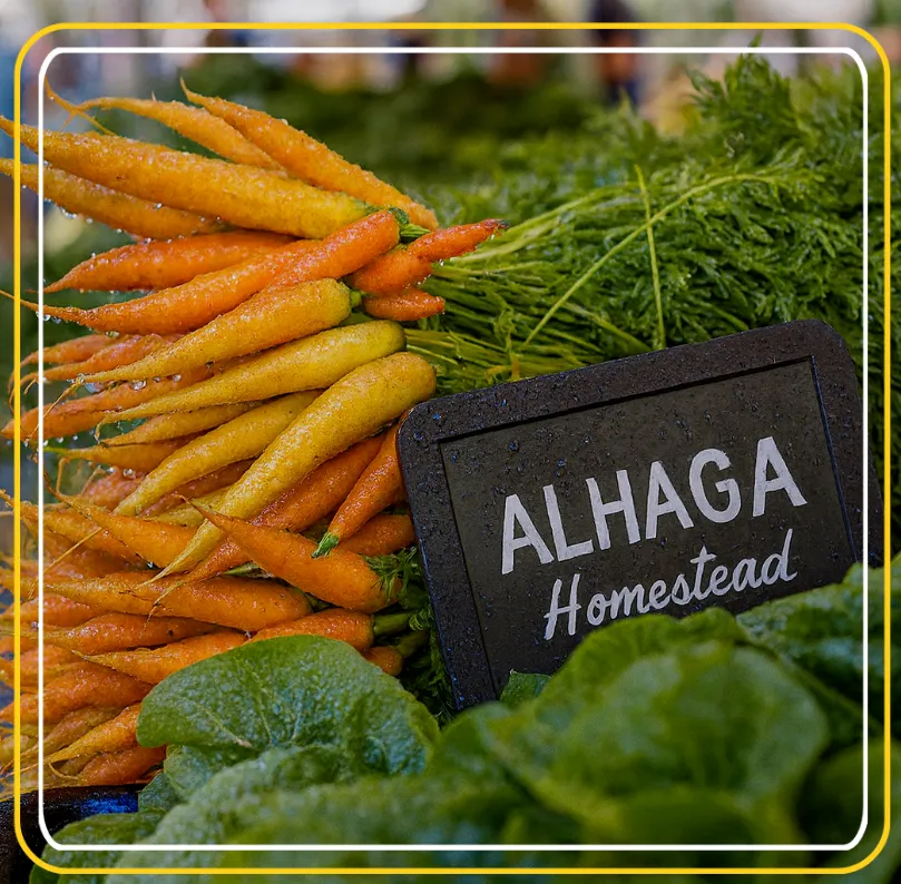 Misstag -Alhaga homestead