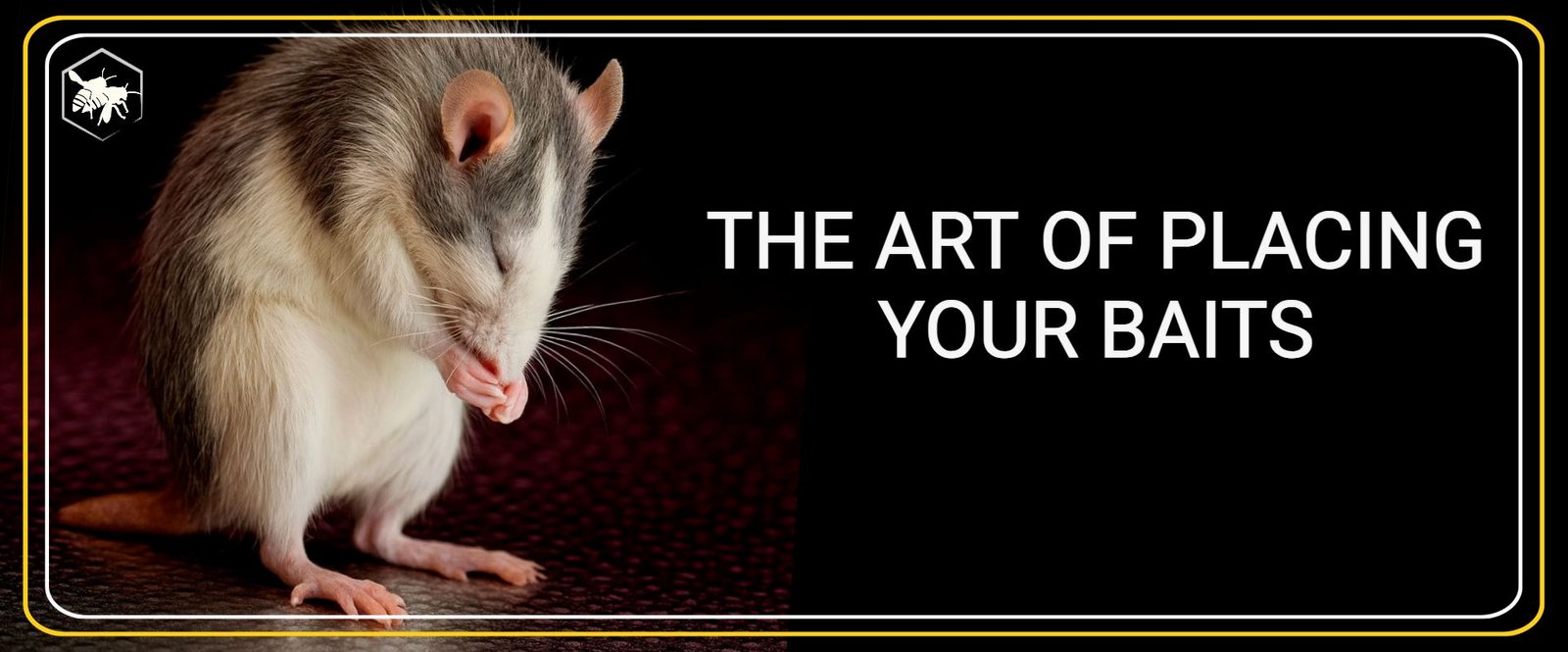 PLACING YOUR BAITS - ALHAGA