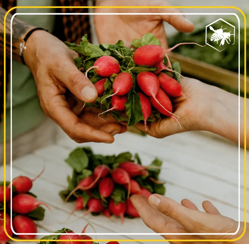 Planera -Alhaga homestead