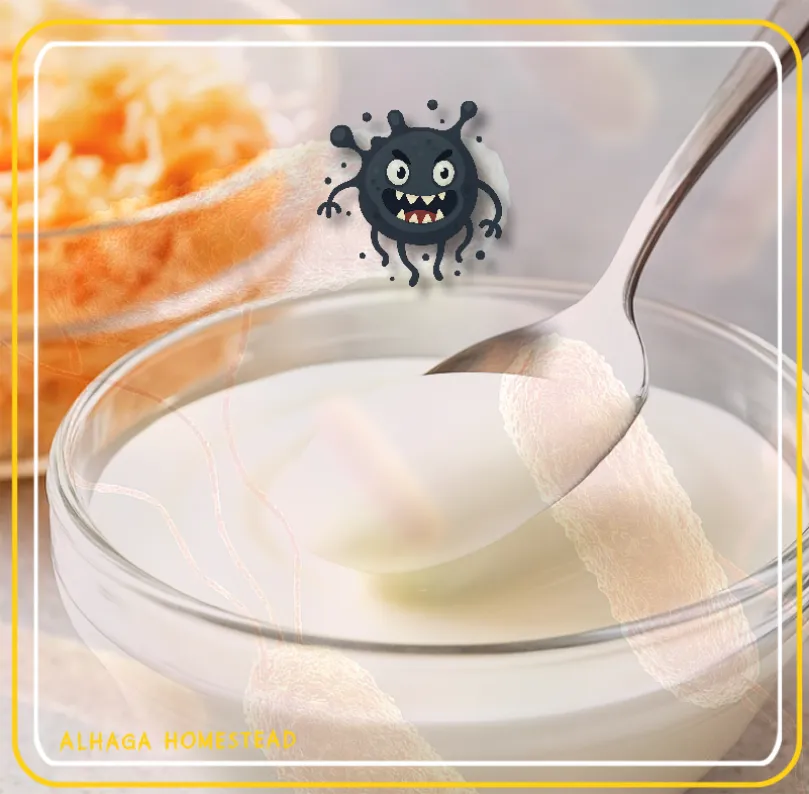 Matallergier - Alhaga homestead