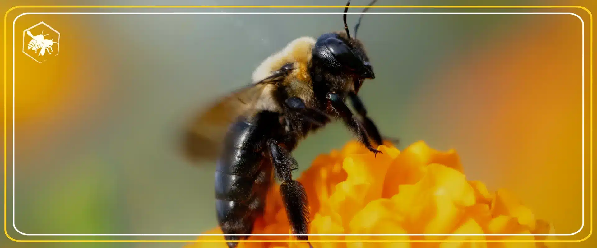 Bloomin' Ecosystems - Alhaga homes