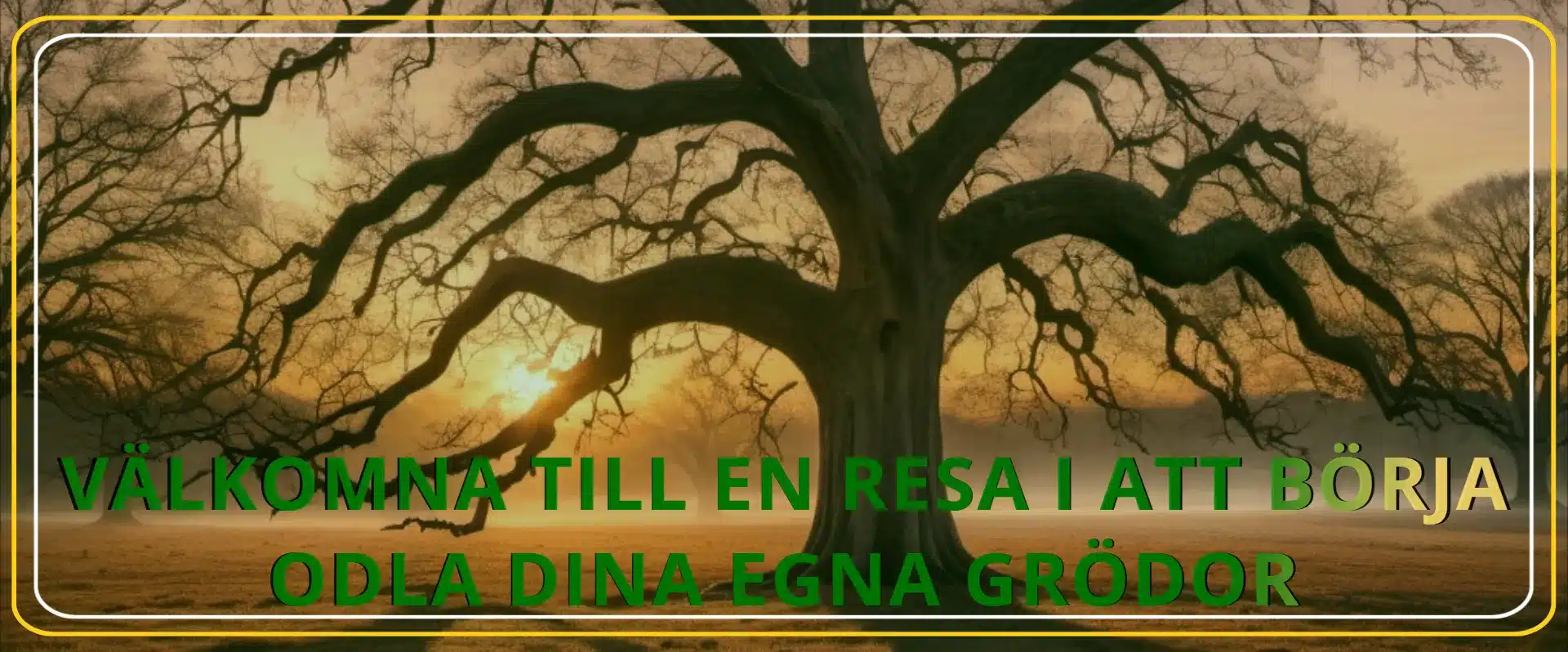 Välkommen till Alhagas trädgård