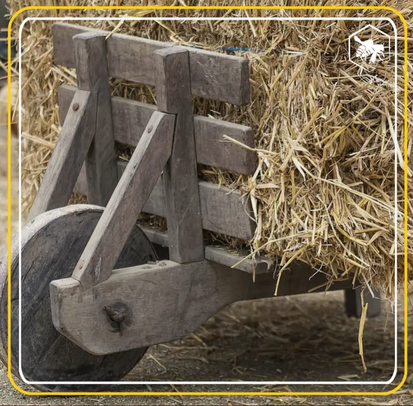 The future of wheelbarrows - Alhaga