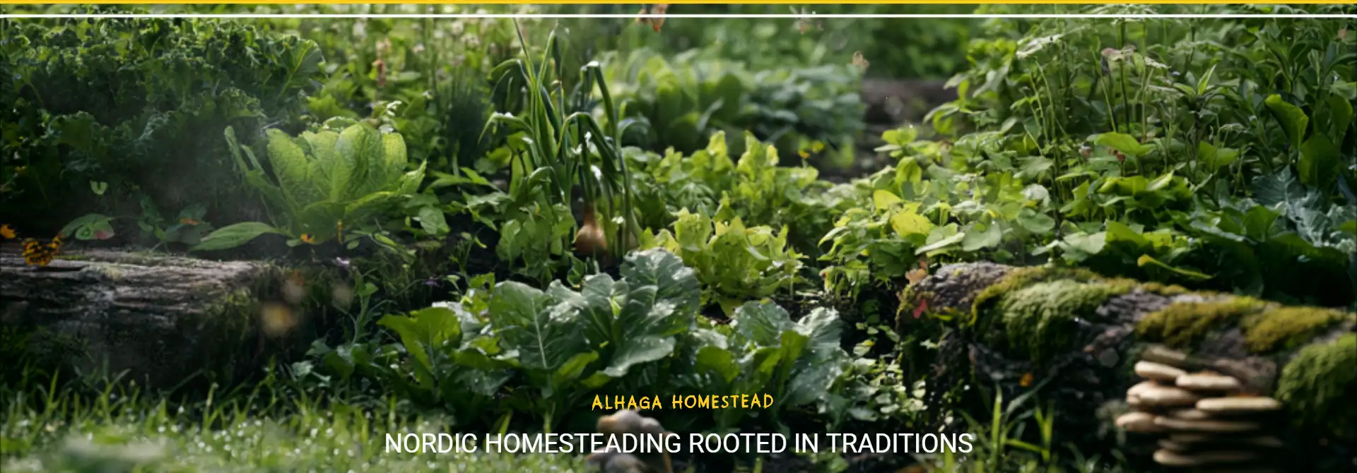 A warm welcome to Alhaga homestead