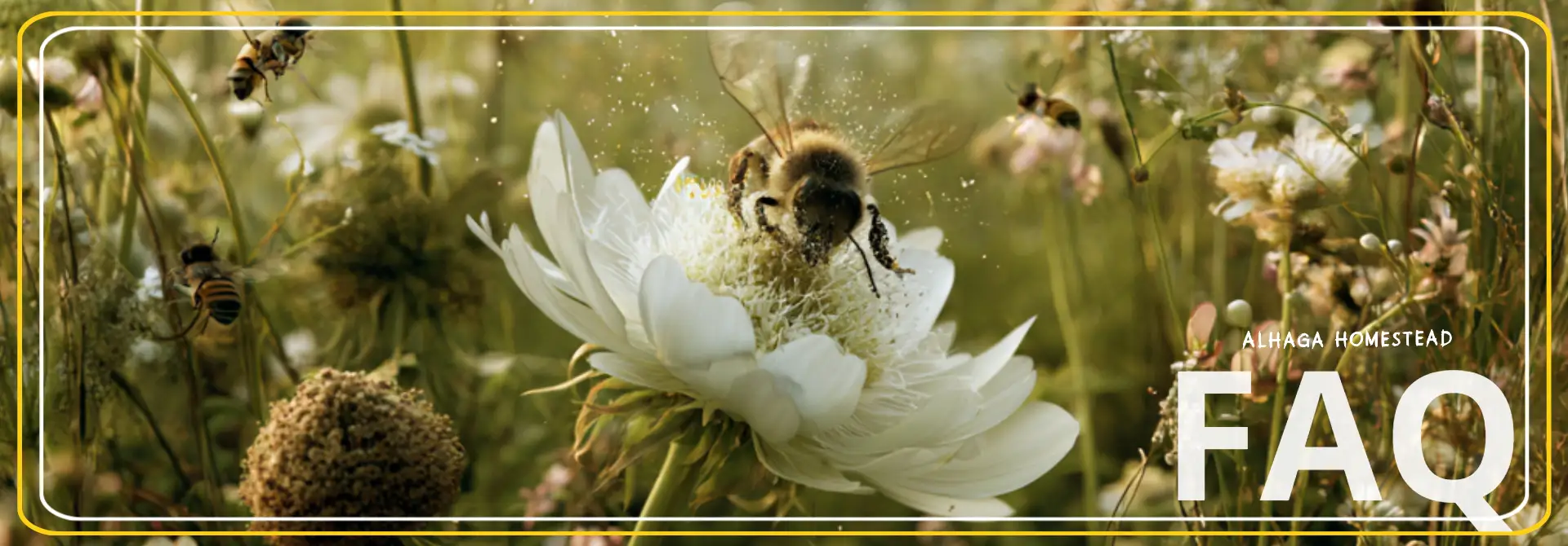 FAQ bees .Alhaga homestead